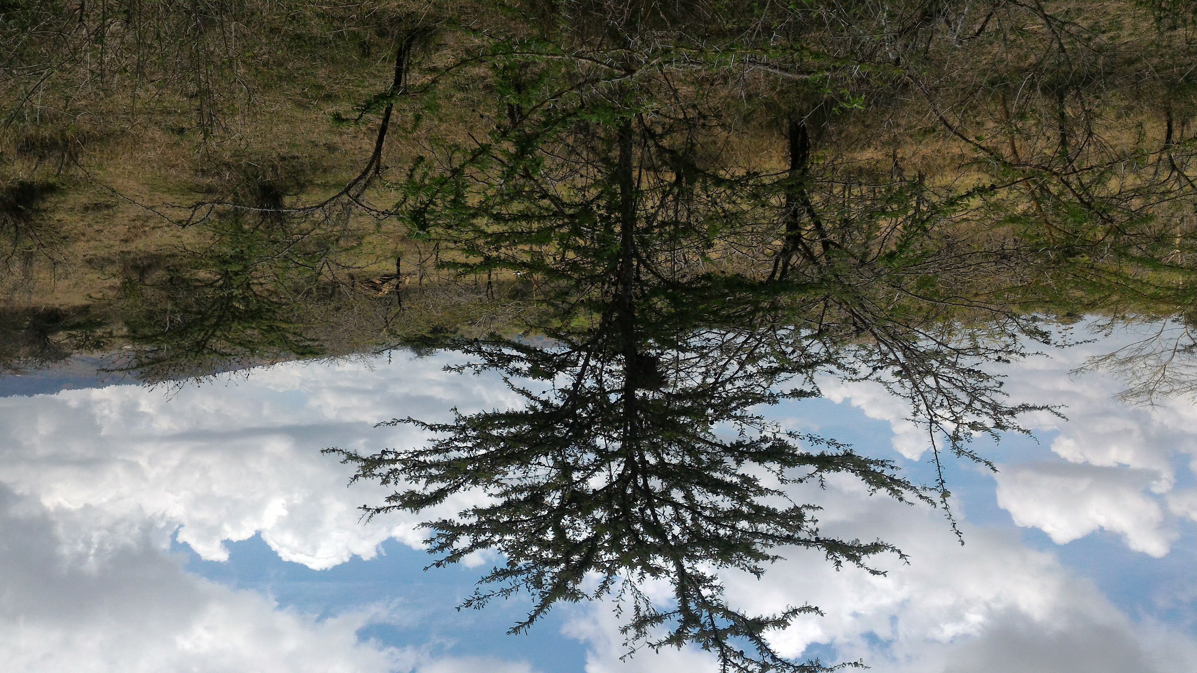 Thorngroove 1/8 Acre Plot for Sale in Kitengela - Image 4